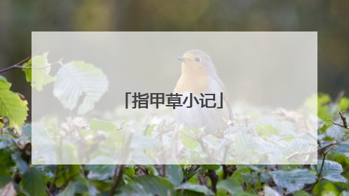 指甲草小记