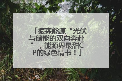 振森能源“光伏与储能的双向奔赴”，能源界最甜CP的绿色情书！