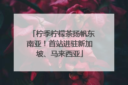柠季柠檬茶扬帆东南亚！首站进驻新加坡、马来西亚