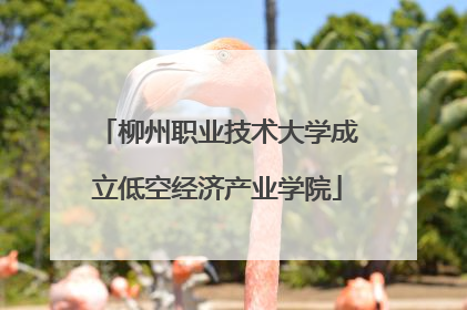 柳州职业技术大学成立低空经济产业学院