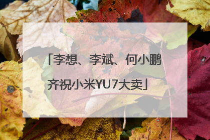 李想、李斌、何小鹏齐祝小米YU7大卖