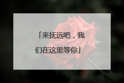 来抚远吧，我们在这里等你