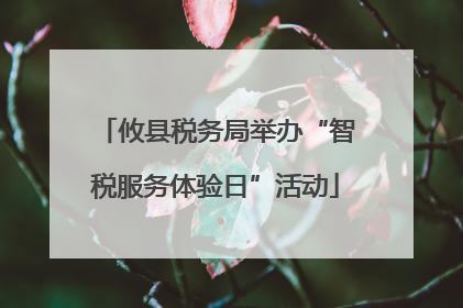 攸县税务局举办“智税服务体验日”活动