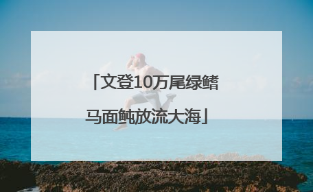 文登10万尾绿鳍马面鲀放流大海