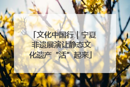 文化中国行｜宁夏 非遗展演让静态文化遗产“活”起来