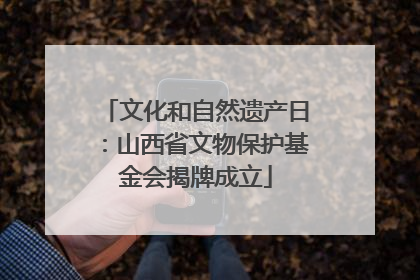 文化和自然遗产日：山西省文物保护基金会揭牌成立