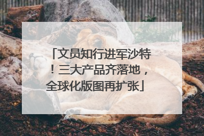 文员知行进军沙特！三大产品齐落地，全球化版图再扩张