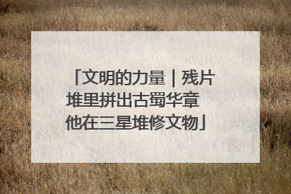 文明的力量｜残片堆里拼出古蜀华章 他在三星堆修文物