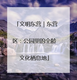 文明东营｜东营区：公园里的全龄文化栖息地