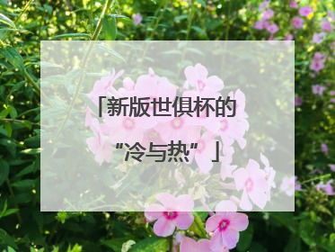 新版世俱杯的“冷与热”
