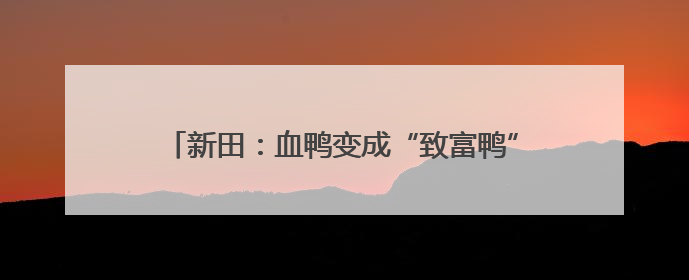 新田：血鸭变成“致富鸭” 预制菜撬动“舌尖经济”