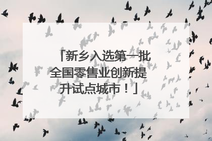 新乡入选第一批全国零售业创新提升试点城市！