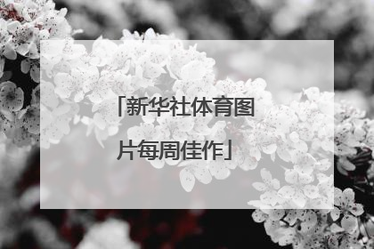 新华社体育图片每周佳作