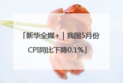 新华全媒+｜我国5月份CPI同比下降0.1%