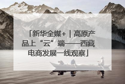 新华全媒+｜高原产品上“云”端——西藏电商发展一线观察