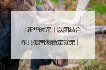 新华时评丨以团结合作共促南海稳定繁荣