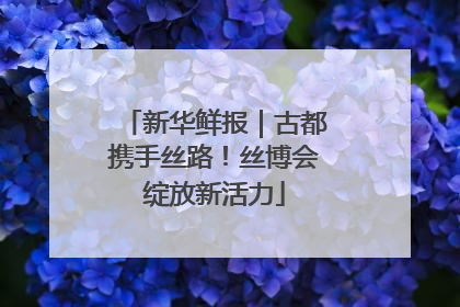 新华鲜报｜古都携手丝路！丝博会绽放新活力