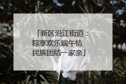 新区沿江街道：粽享欢乐端午情 民族团结一家亲