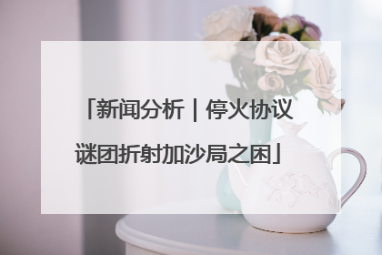 新闻分析｜停火协议谜团折射加沙局之困