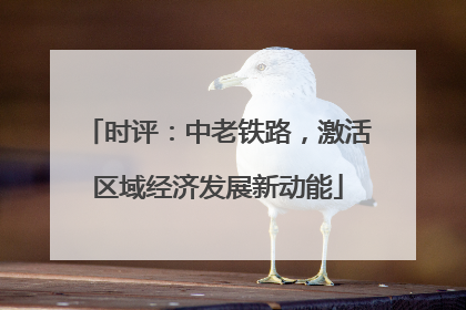 时评：中老铁路，激活区域经济发展新动能