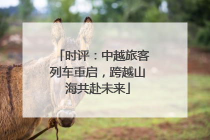 时评：中越旅客列车重启，跨越山海共赴未来