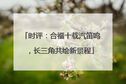 时评：合福十载汽笛鸣，长三角共绘新景程