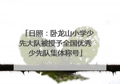日照：卧龙山小学少先大队被授予全国优秀少先队集体称号
