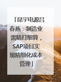 昆宇电源吕春燕：制造业需精打细算，SAP项目实现精细化成本管理