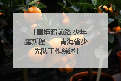 星炬照前路 少年踏新程——青海省少先队工作综述