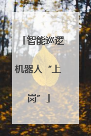 智能巡逻机器人“上岗”