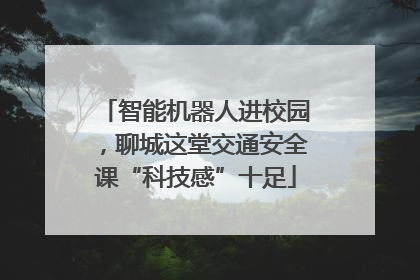 智能机器人进校园，聊城这堂交通安全课“科技感”十足