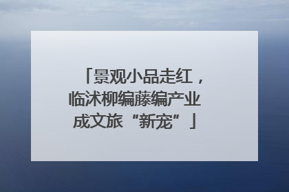 景观小品走红，临沭柳编藤编产业成文旅“新宠”