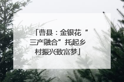 曹县：金银花“三产融合”托起乡村振兴致富梦