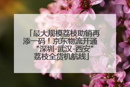 最大规模荔枝助销再添一码！京东物流开通“深圳-武汉-西安” 荔枝全货机航线