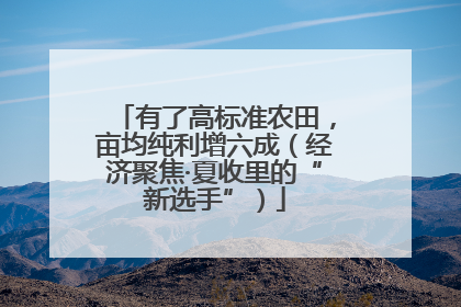 有了高标准农田，亩均纯利增六成（经济聚焦·夏收里的“新选手”）