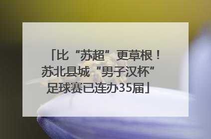 比“苏超”更草根！苏北县城“男子汉杯”足球赛已连办35届