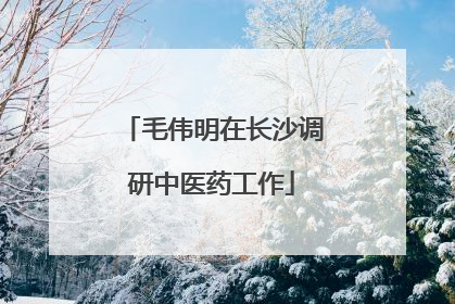 毛伟明在长沙调研中医药工作