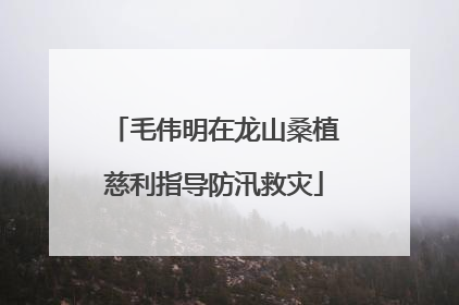 毛伟明在龙山桑植慈利指导防汛救灾