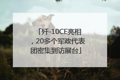 歼-10CE亮相，20多个军政代表团密集到访展台