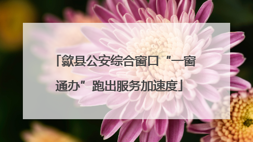 歙县公安综合窗口“一窗通办”跑出服务加速度