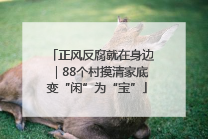 正风反腐就在身边｜88个村摸清家底变“闲”为“宝”