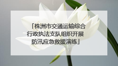 株洲市交通运输综合行政执法支队组织开展防汛应急救援演练