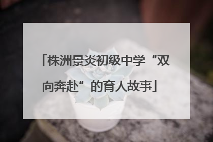 株洲景炎初级中学“双向奔赴”的育人故事