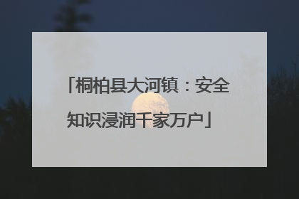 桐柏县大河镇：安全知识浸润千家万户
