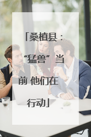 桑植县：“猛兽”当前 他们在行动