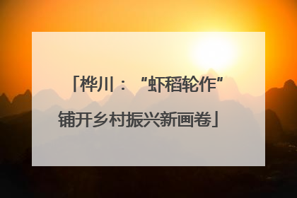 桦川：“虾稻轮作”铺开乡村振兴新画卷