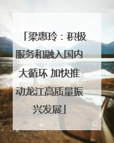 梁惠玲：积极服务和融入国内大循环 加快推动龙江高质量振兴发展