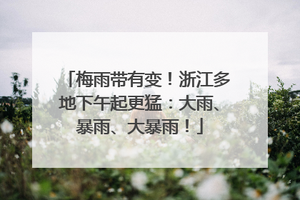 梅雨带有变！浙江多地下午起更猛：大雨、暴雨、大暴雨！