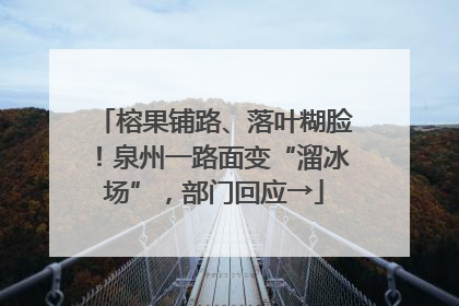 榕果铺路、落叶糊脸！泉州一路面变“溜冰场”，部门回应→
