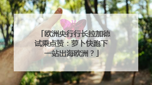 欧洲央行行长拉加德试乘点赞：萝卜快跑下一站出海欧洲？